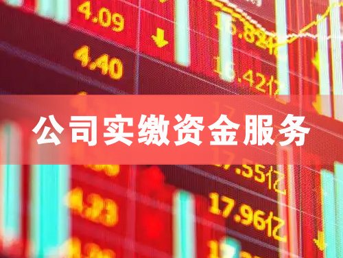 东港公司实缴资金服务