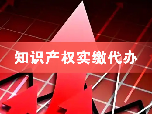 东港知识产权实缴资本代办